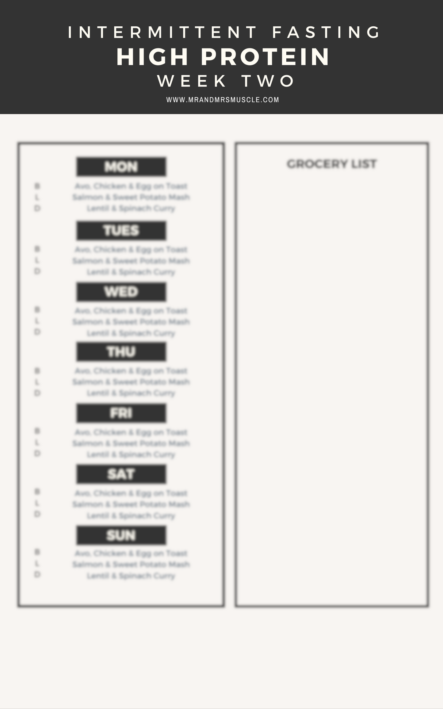 High Protein Intermittent Fasting Diet Plan